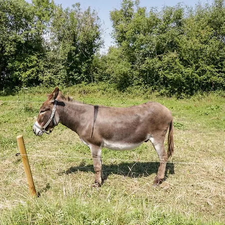 Tatil Evi The Visiting House Dunmore