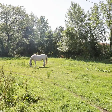 Tatil Evi The Visiting House Dunmore