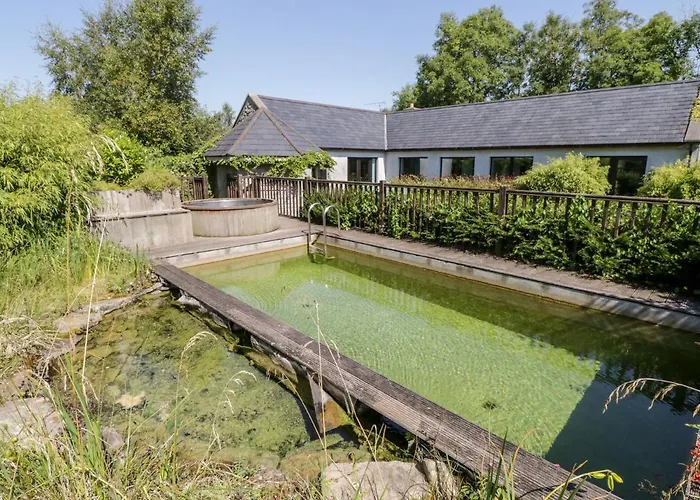 The Visiting House *