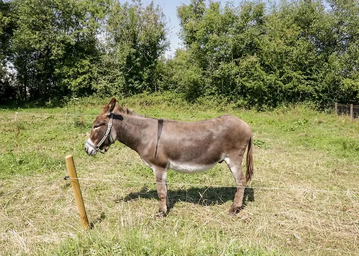 Дом отдыха The Visiting House Dunmore