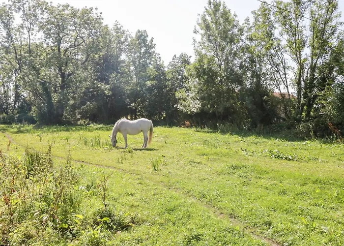 Vakantiehuis The Visiting House Dunmore